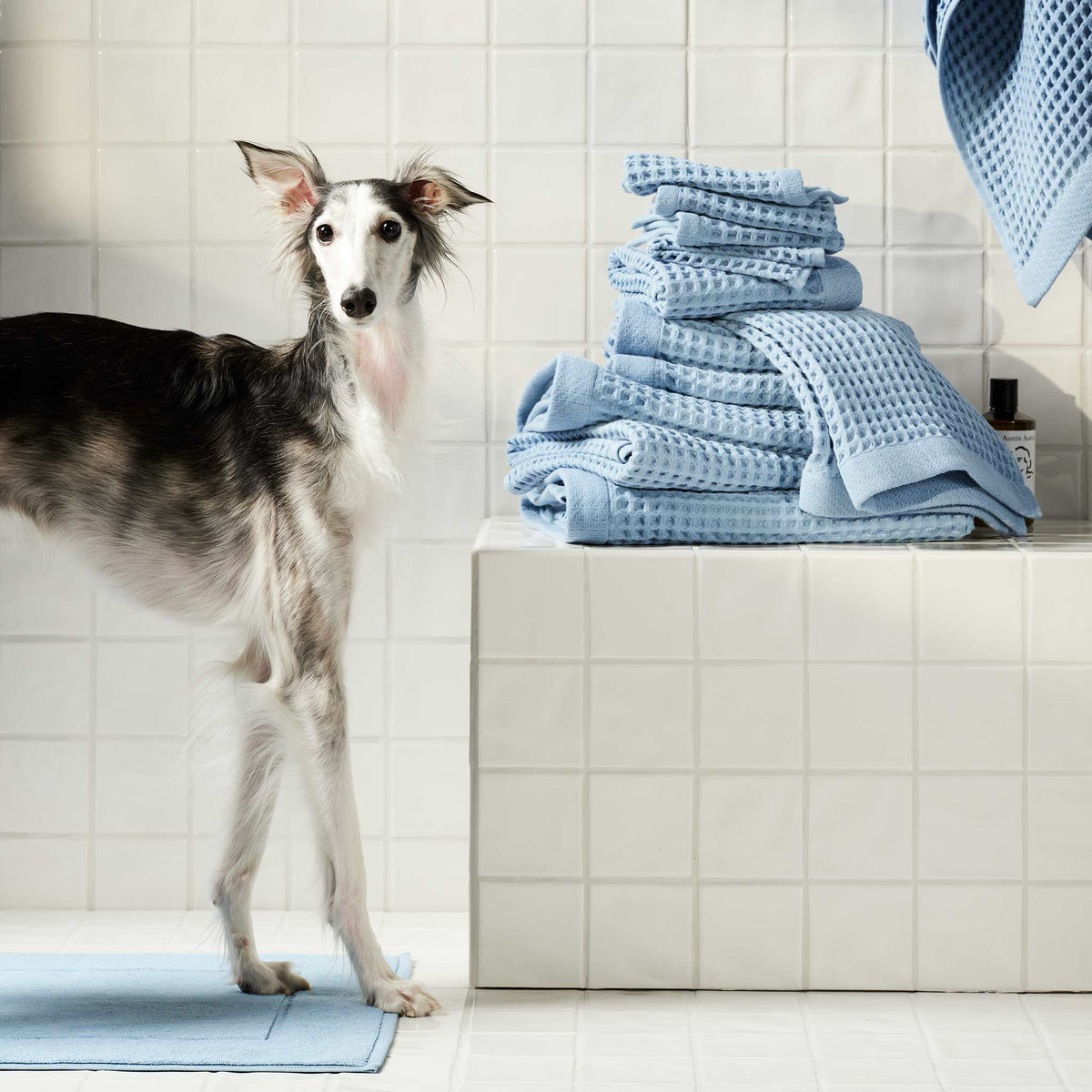 Dreamweave Waffle Hand Towels Set of 2 - Last Call - Image 13