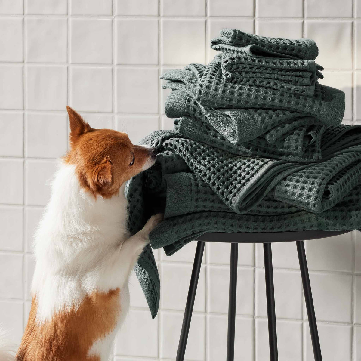 Dreamweave Waffle Bath Sheets Set of 2 - Last Call - Image 17