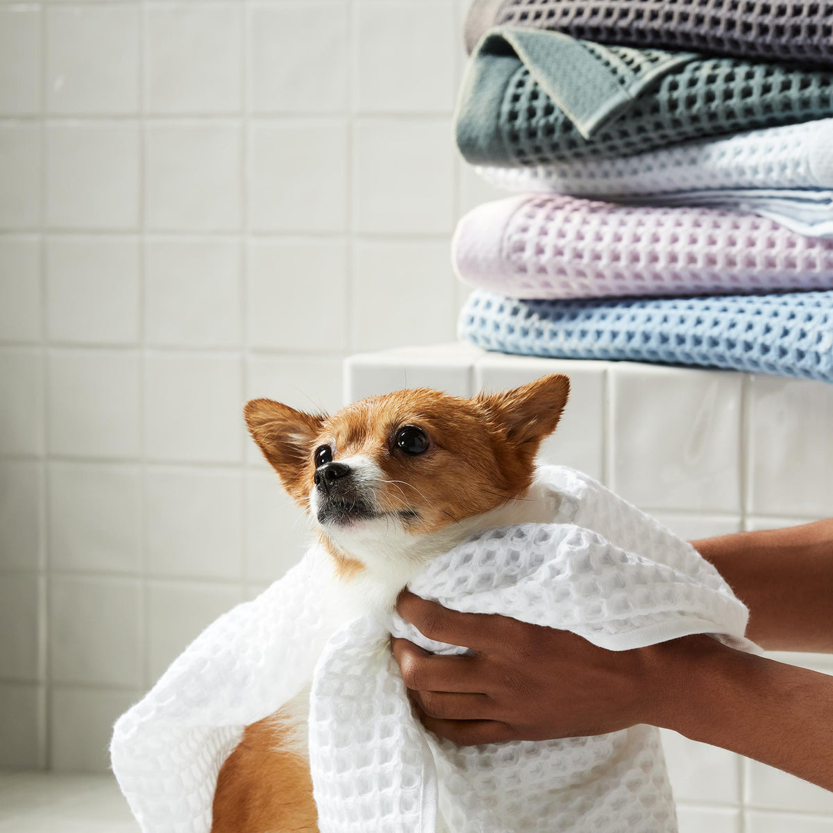 Dreamweave Waffle Hand Towels Set of 2 - Last Call - Image 21