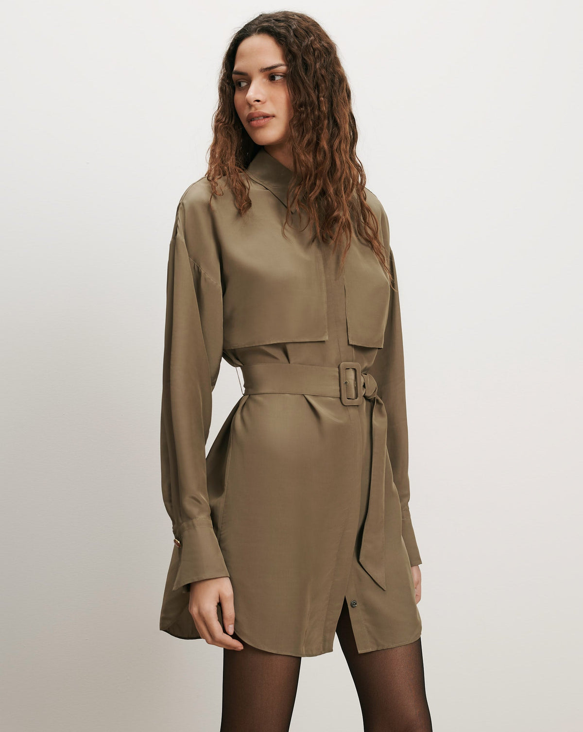 Darlis Belted Mini Dress