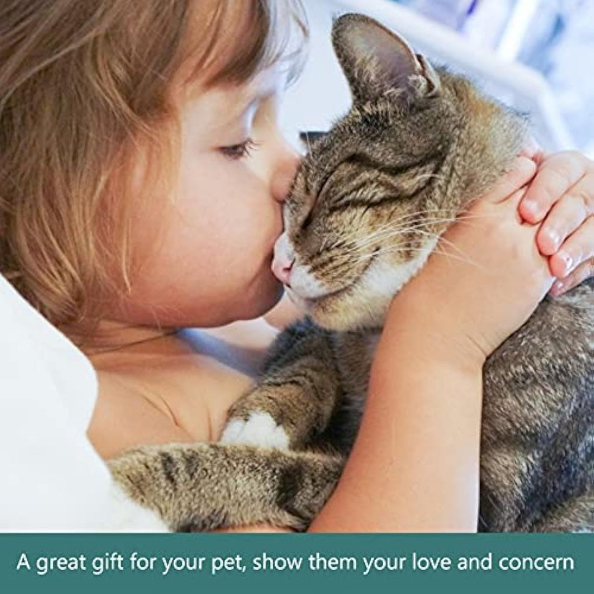 Slow Feeding Pet Bowl with Detachable Water Tray - Image 7