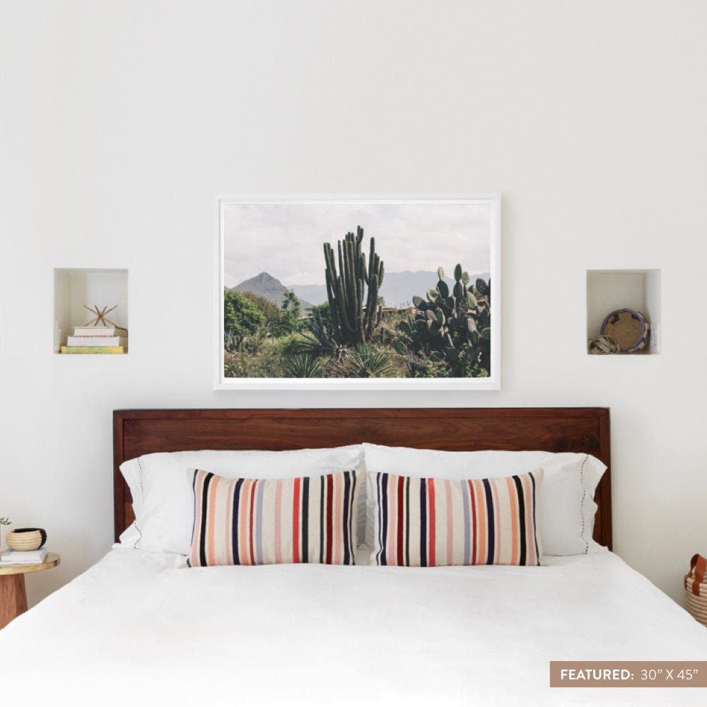 Oaxaca .01 - 30'' x 45'' / White Frame