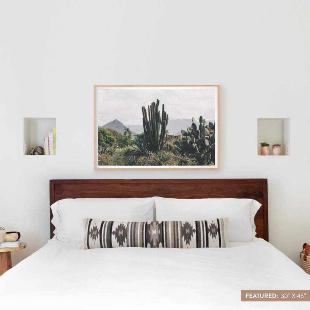 Oaxaca .01 - 30'' x 45'' / Natural Frame
