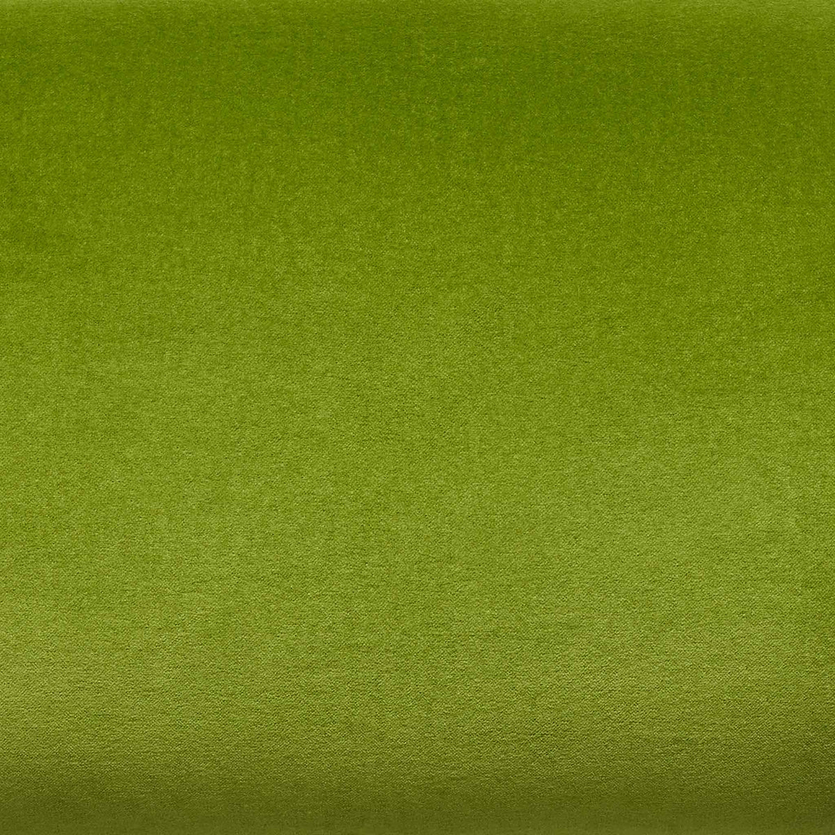 Cotton Velvet Pillow Cover - Image 32