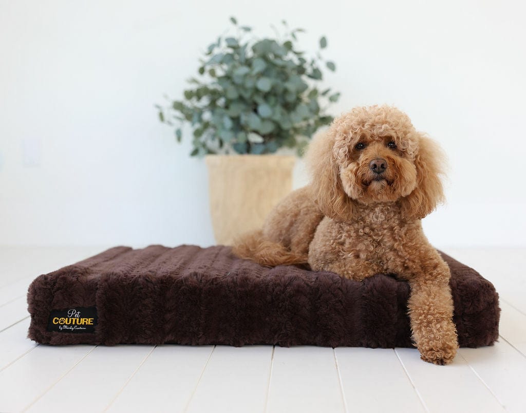 Brown Plume Pet Crate Pad - Image 2
