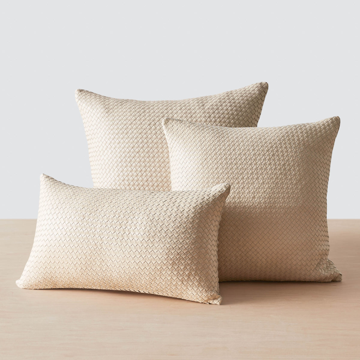 Dhara Leather Square Pillow - Image 13