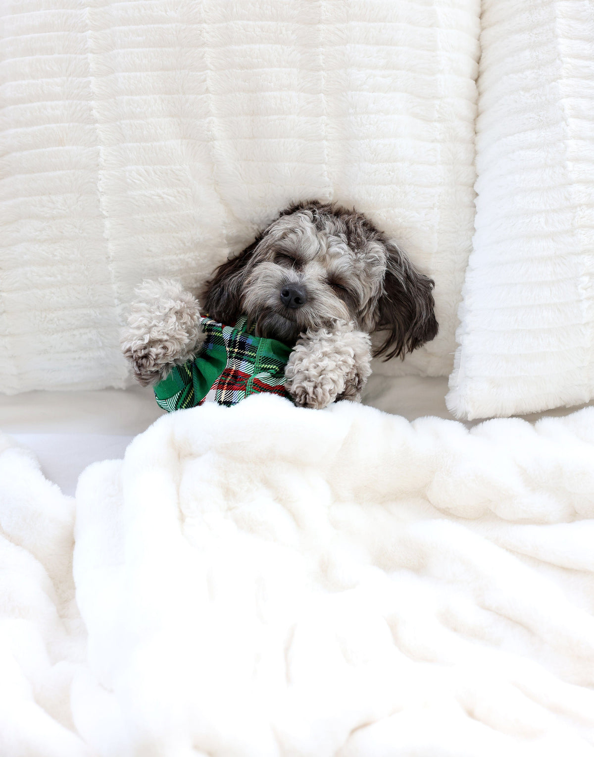 Pet Pajamas - Christmas Plaid Green - Image 3