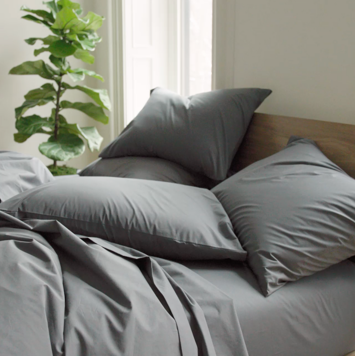 Test Classic Percale Pillowcases - Image 26