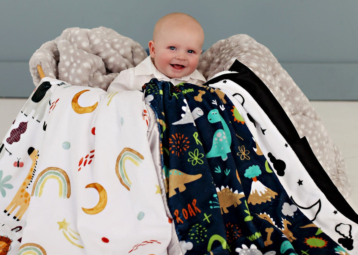 Dinosaur Land Blanket - Image 2