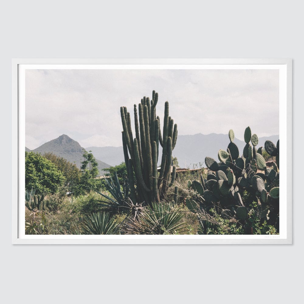 Oaxaca .01 - Image 2
