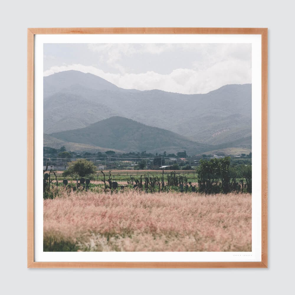 Oaxaca .02 - Natural Frame
