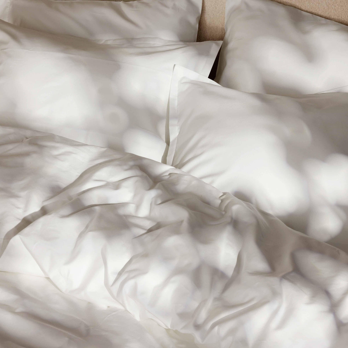 Sateen Shams - Image 7
