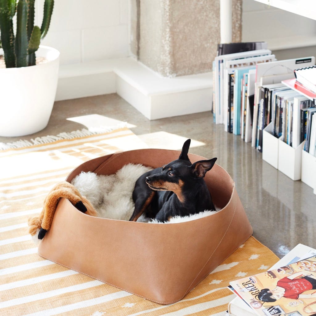 Azad Low Leather Storage Bin - Image 8