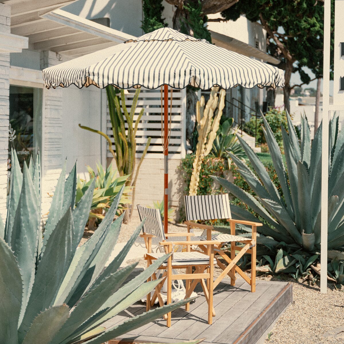 The Directors Chair - Image 8