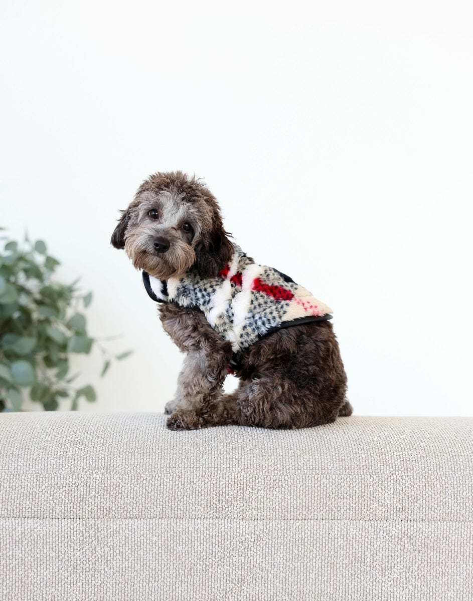 Pet Vest - City Plaid/Cream - Image 3