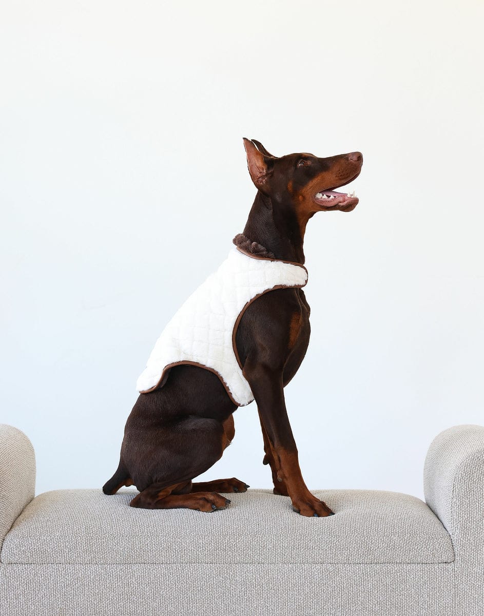 Pet Vest - Cream/Dark Brown