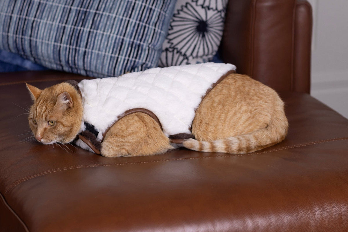 Pet Vest - Cream/Dark Brown - Image 4