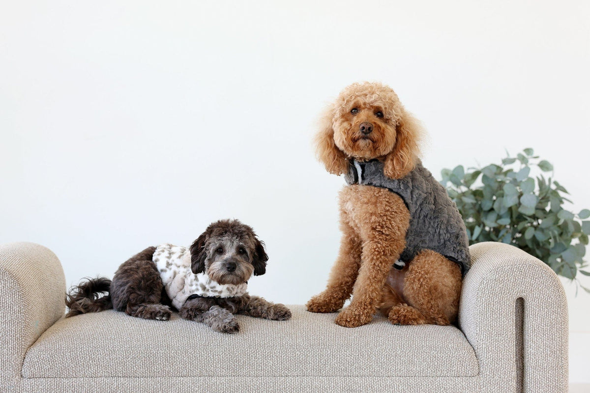 Pet Vest - Dark/Light Gray - Image 4