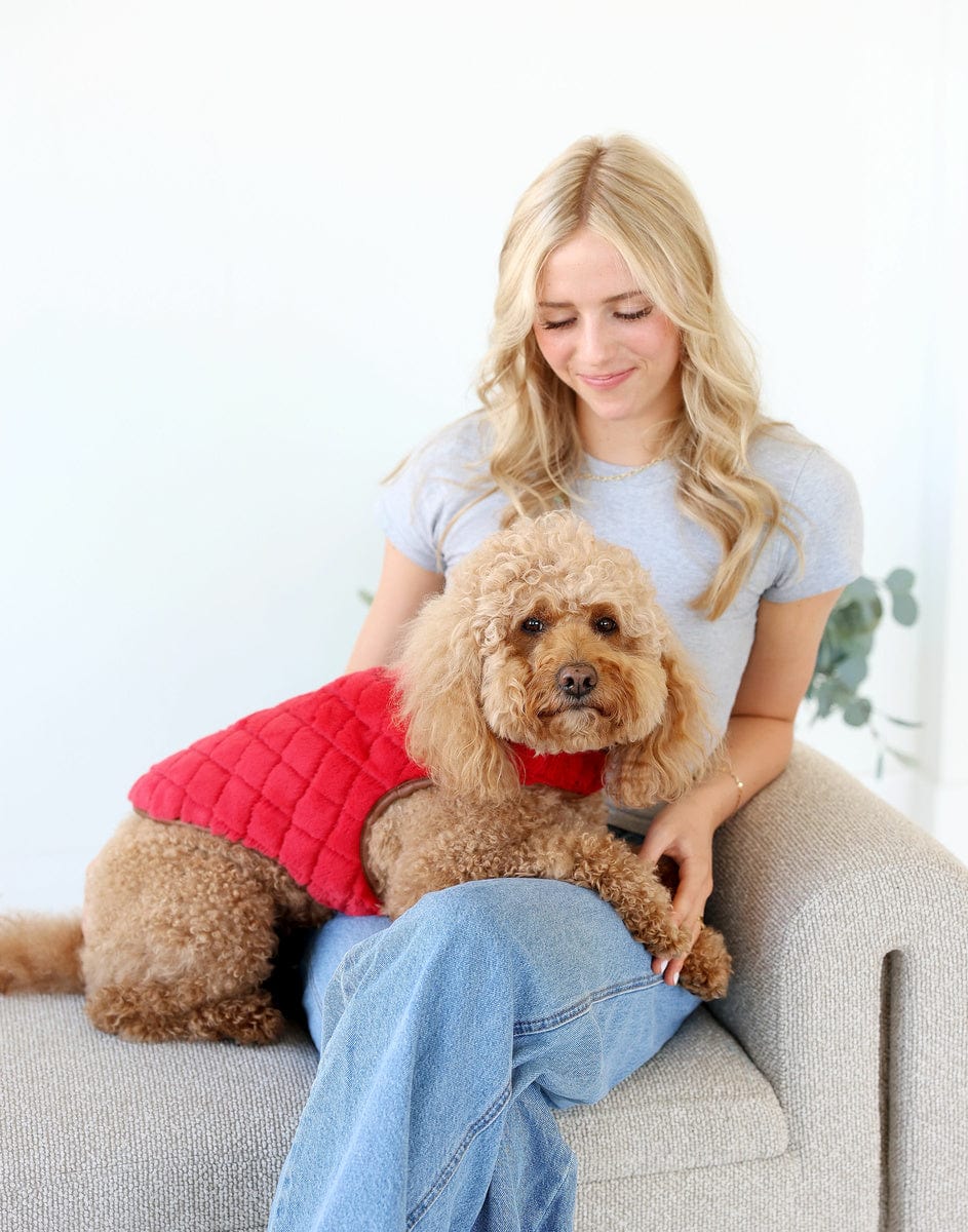 Pet Vest - Red/Cream - Image 2