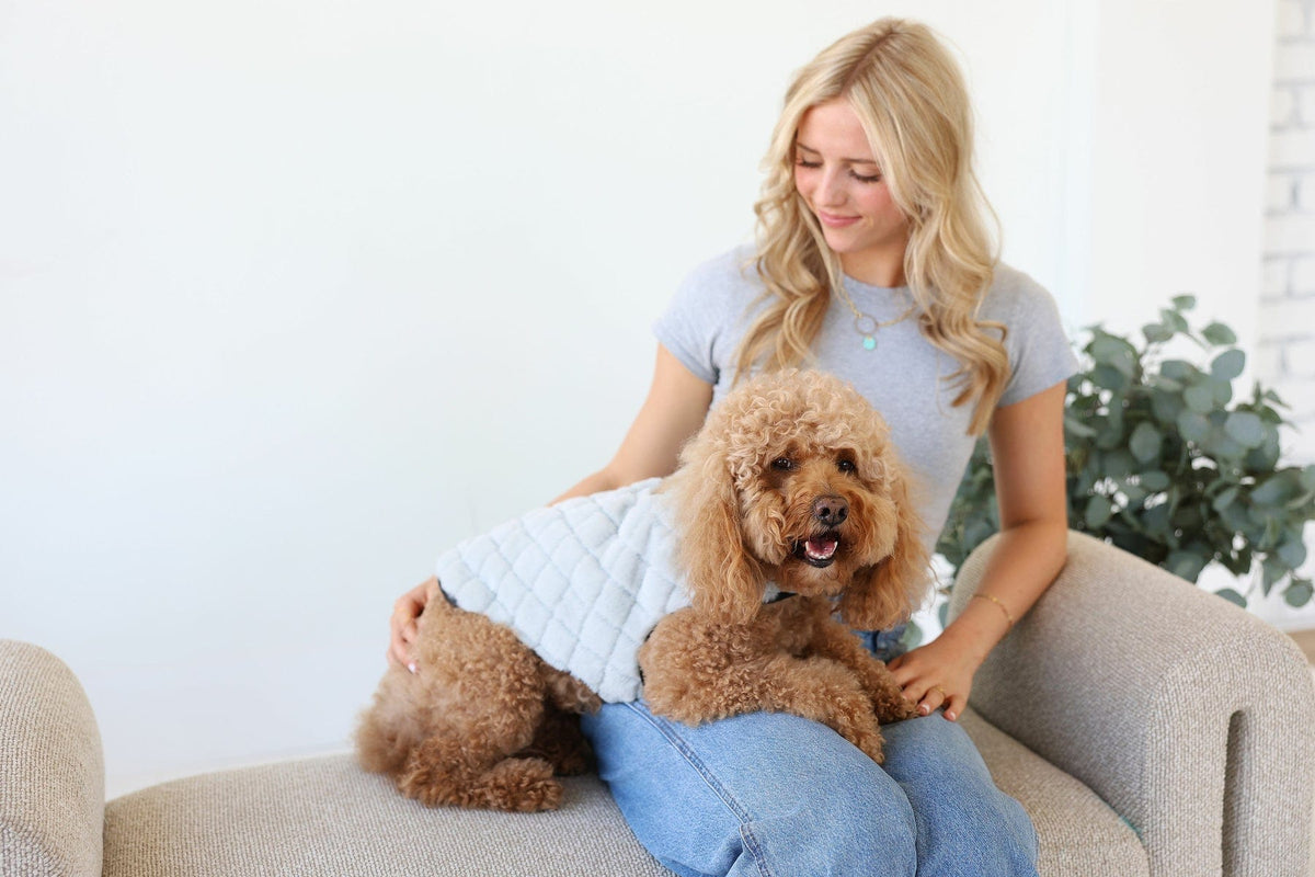 Pet Vest - Sandra/Light Gray - Image 2