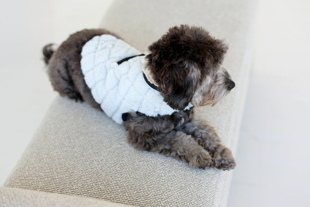 Pet Vest - Sandra/Light Gray - Image 3