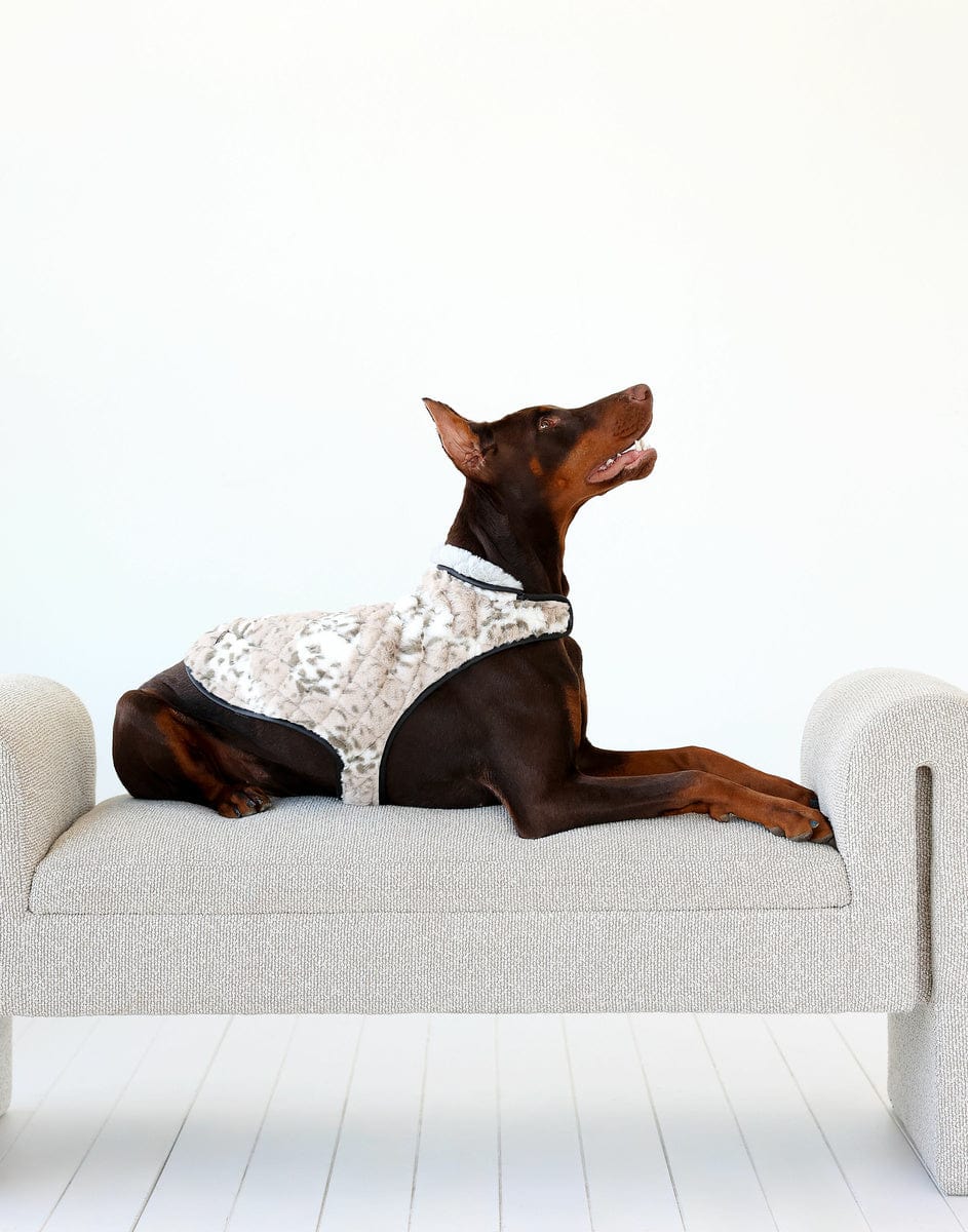Pet Vest - Sandra/Light Gray - Image 4