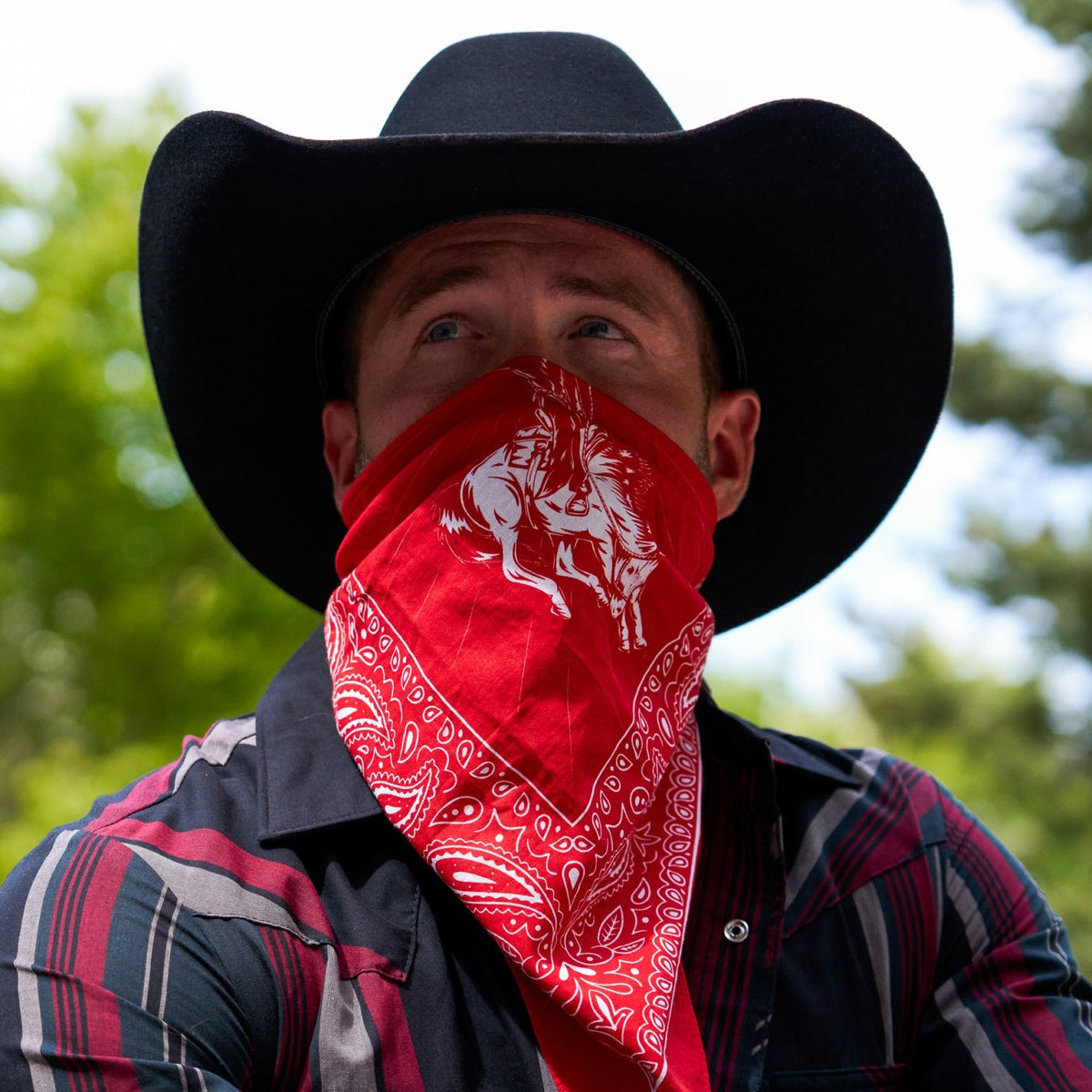 Ridge Bandana - Rodeo Red - Image 8
