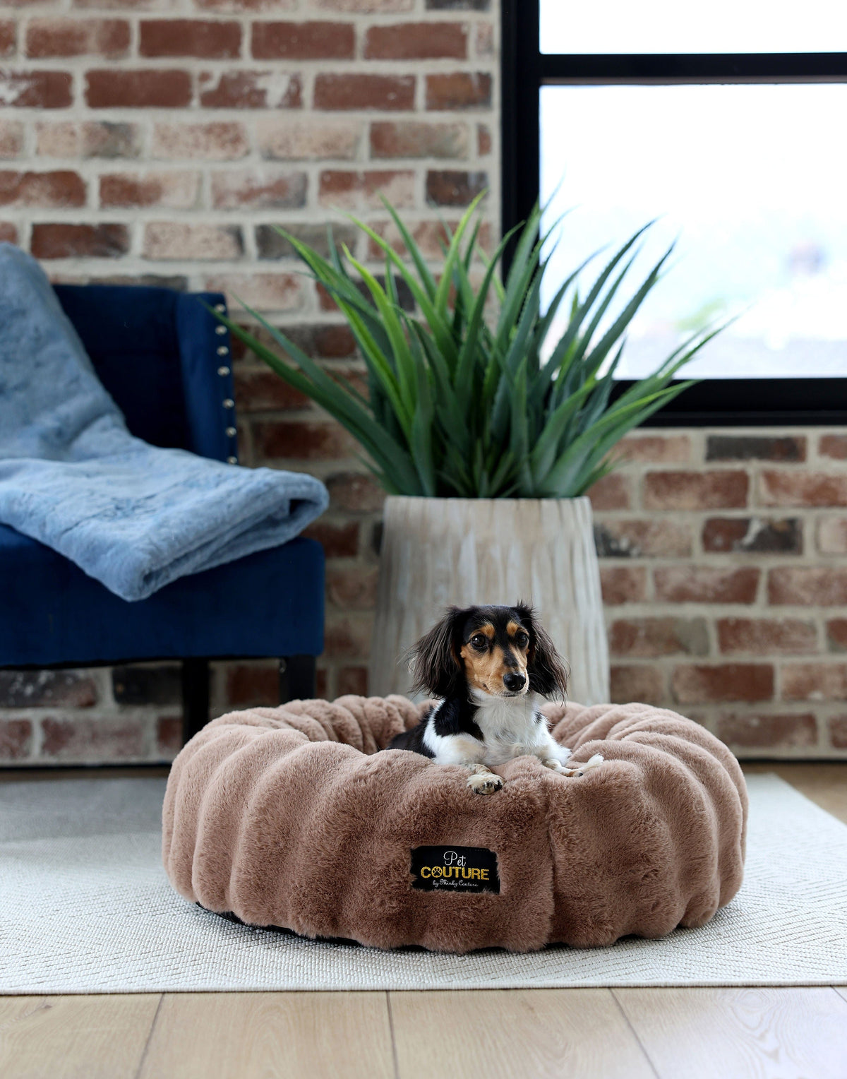 Milk Chocolate Pet Bed - Image 2