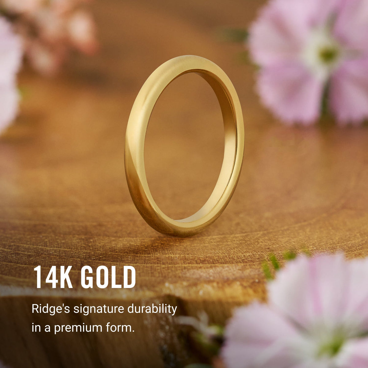 Ridge 2mm Rounded Ring Set - 14K Yellow Gold - Image 8