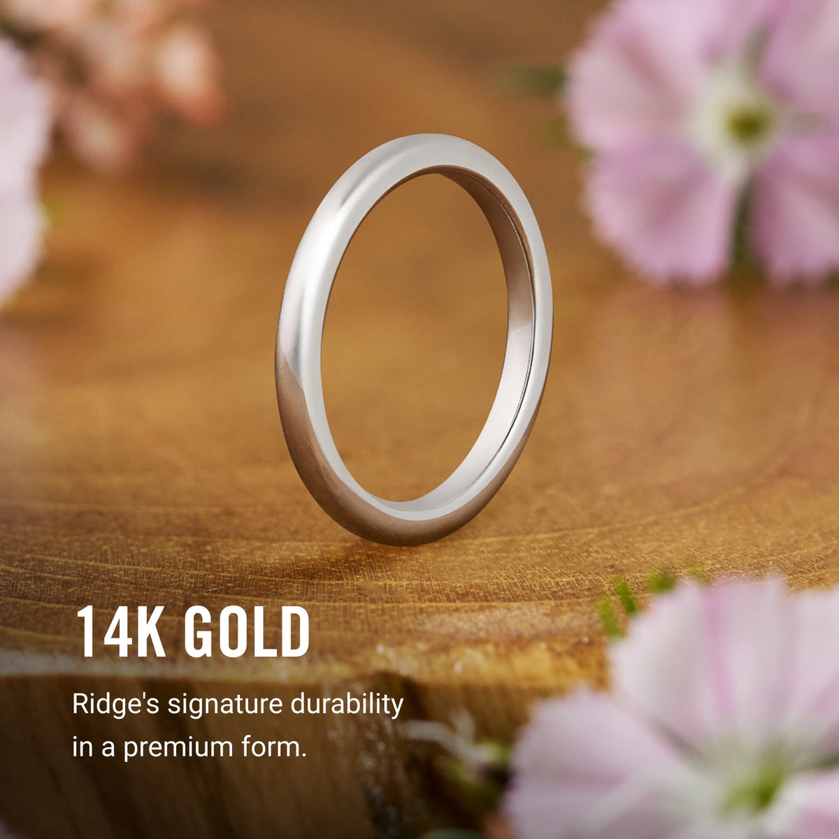 Ridge 2mm Rounded Ring Set - 14K White Gold - Image 8