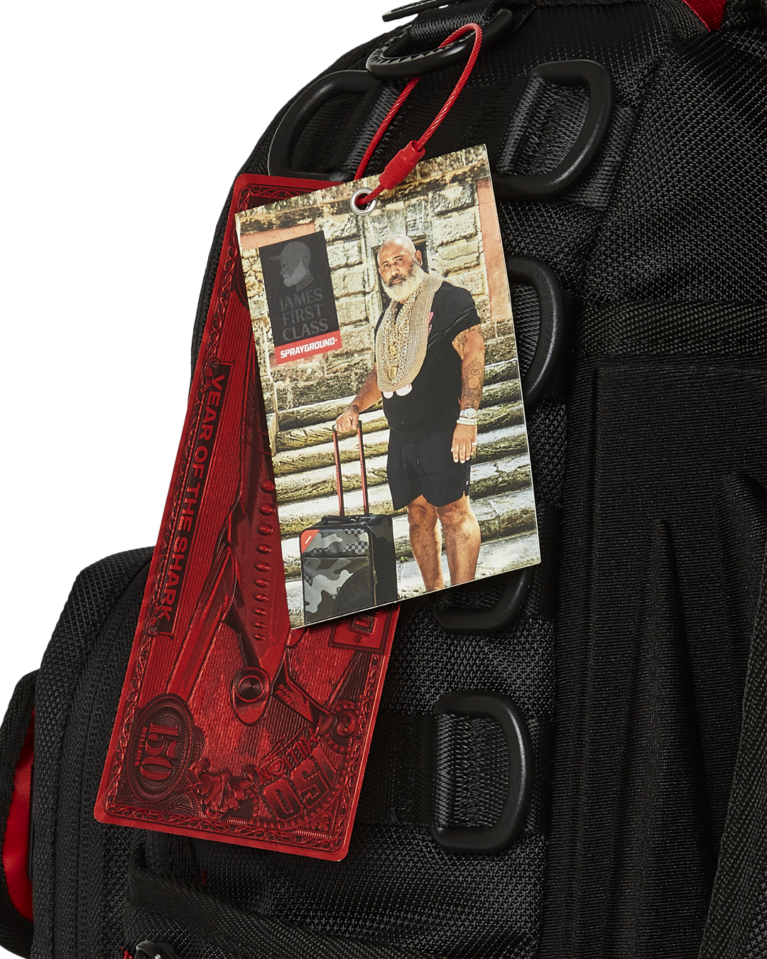 James First Class Global Flags Special Ops Cargo Backpack - Image 16
