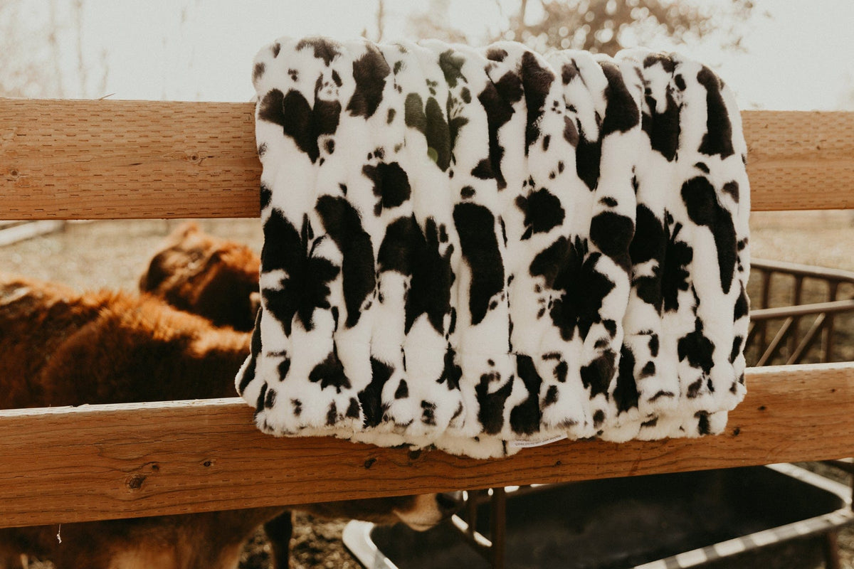 Hugs Black Cow Blanket - Image 6