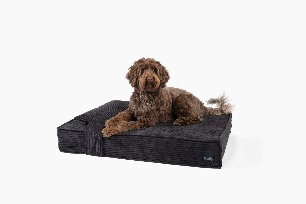 Orthopedic Pet Bed - Image 2