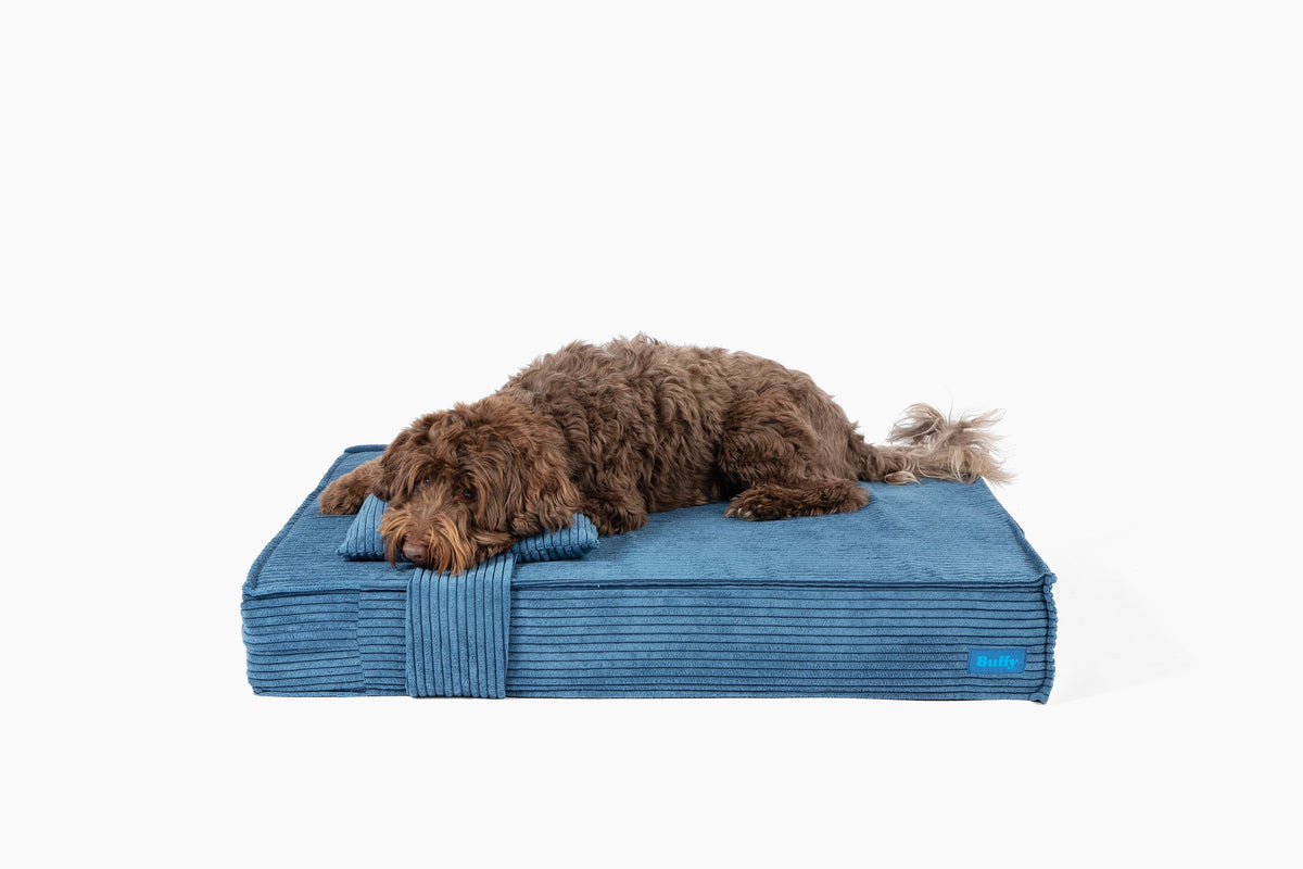 Orthopedic Pet Bed - Cerulean Corduroy