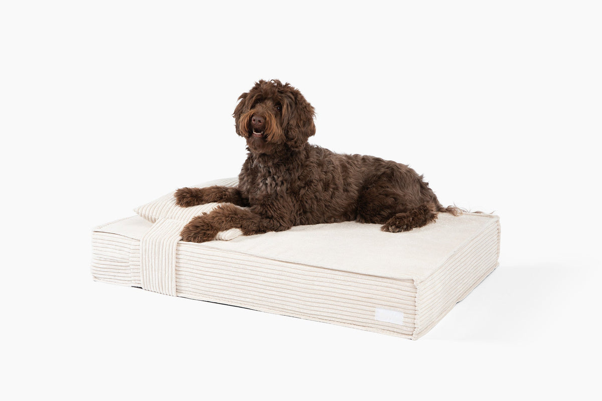 Orthopedic Pet Bed - Image 14