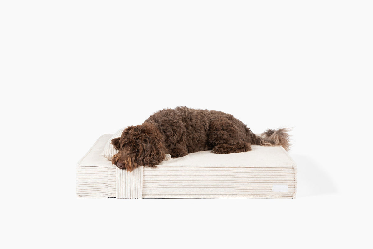 Orthopedic Pet Bed - Bone Corduroy