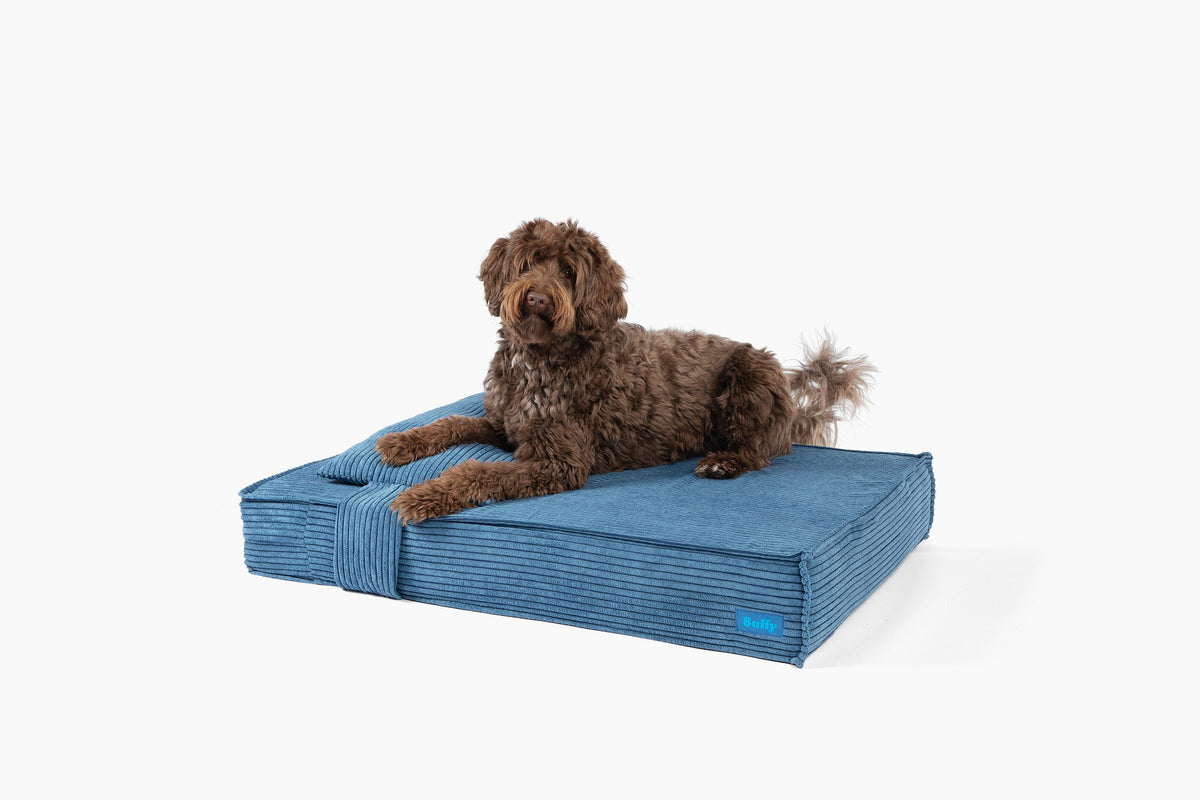 Orthopedic Pet Bed - Image 10