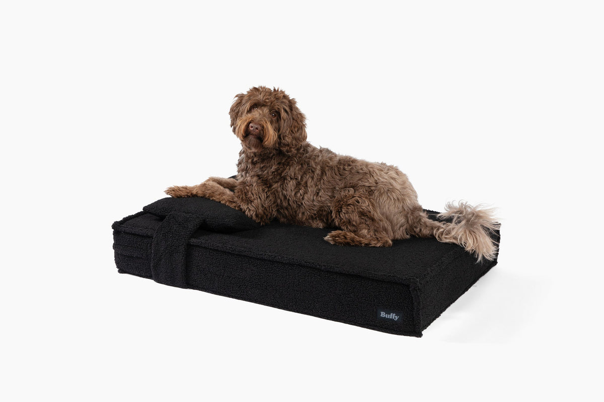 Orthopedic Pet Bed - Image 18