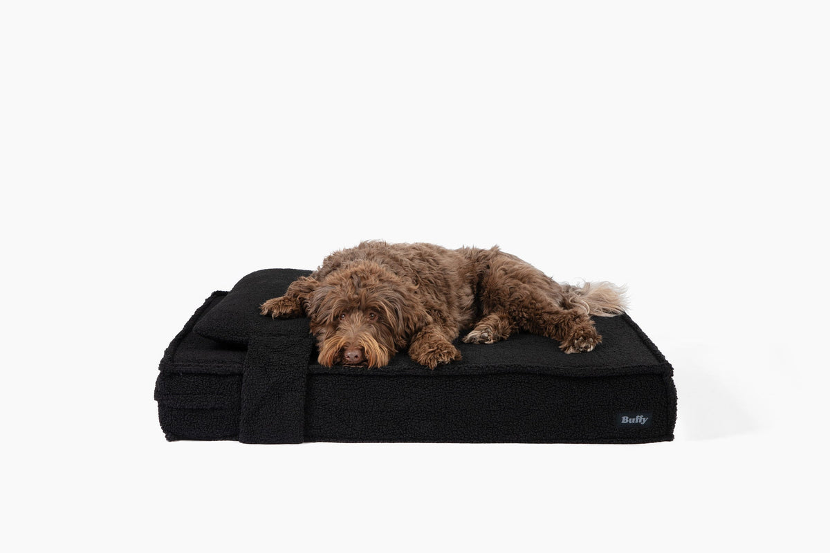 Orthopedic Pet Bed - Tuxedo Sherpa / Small