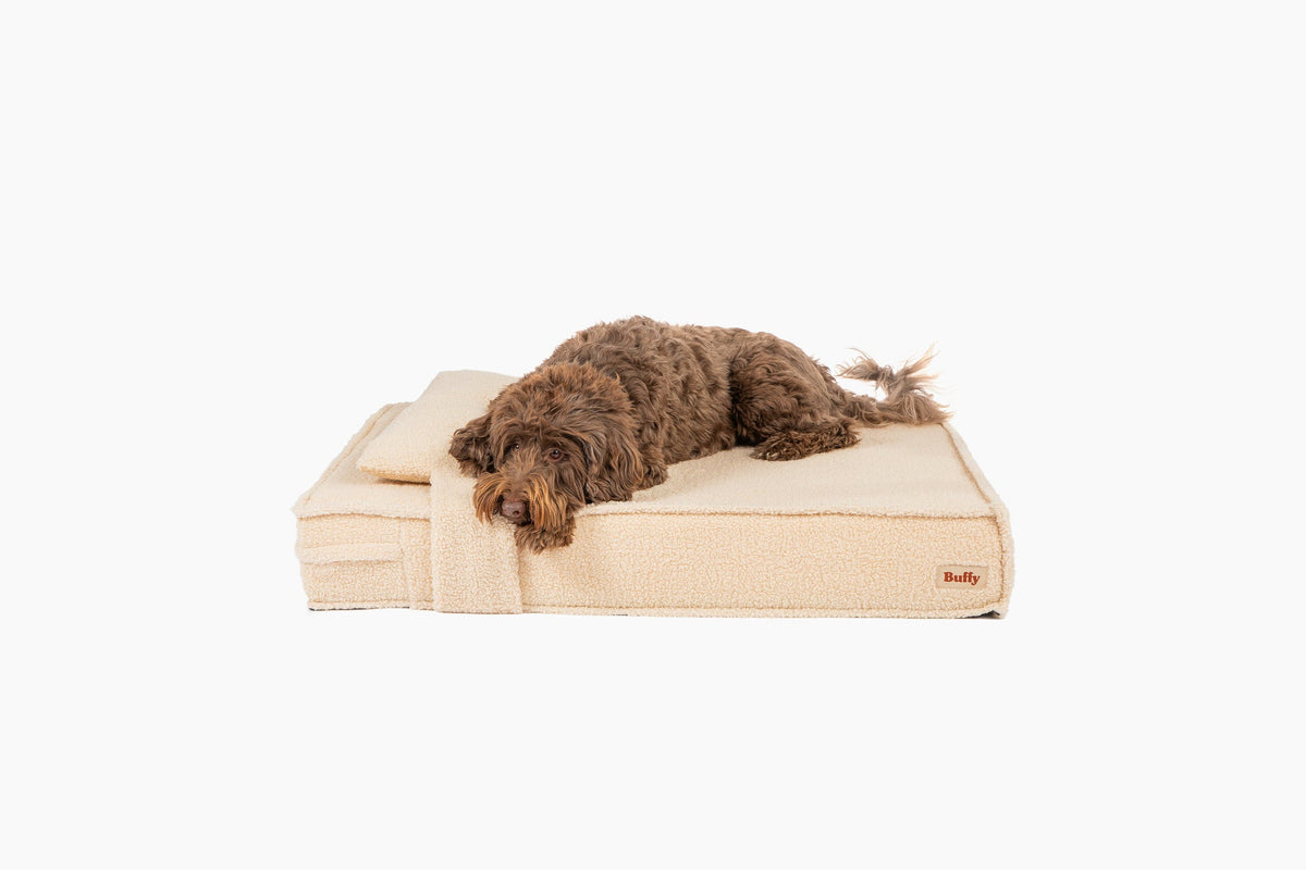 Orthopedic Pet Bed - Linen Sherpa / Small
