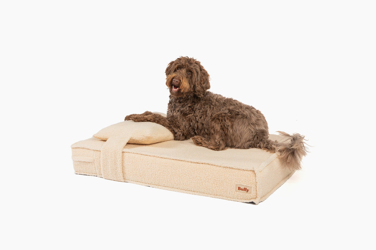 Orthopedic Pet Bed - Image 6